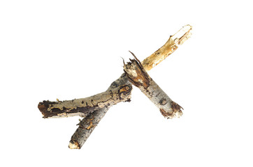 Dry tree branch isolated on white background.
