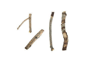 Dry tree branch isolated on white background.