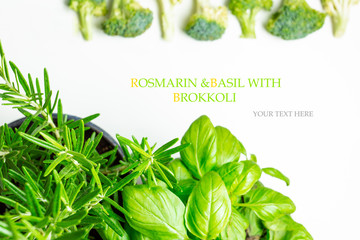 Seamless pattern with broccoli rosemary and basil. Vegetables abstract background. Broccoli rosemary and basil on the white background.
