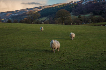 Snowdon Landscape views