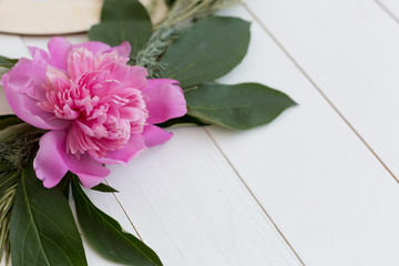 background texture flowers. pink peonies on a white background. peony flowers