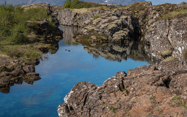 Naklejka na ściany i meble very clear blue water in Thingvellir National Park, Iceland