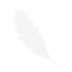 Realistic white bird feather.Vector illustration isolated on a white background.