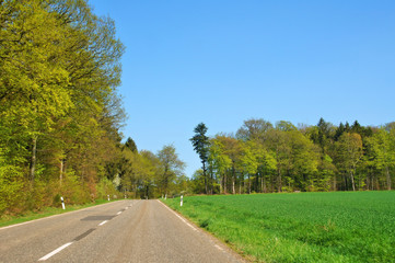 Fototapeta na wymiar Landstrasse im Frühling im Hunsrück zwischen Wald und Wiese 