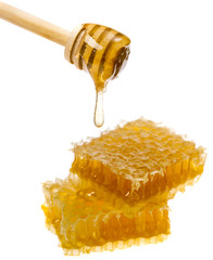 Honey dripping from honey dipper isolated on a white background