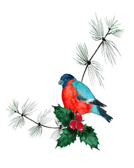 Watercolor Christmas wreath with fir branches and bullfinch.