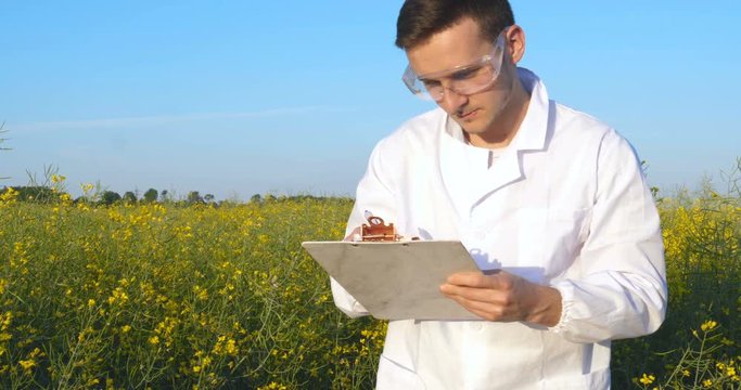 A young beautiful biologist or agronomist, works on the field, writes in a notebook, checks yellow plants in white medical clothes, goggles, smiles, successful, field of canola, bio, biology, analyzes