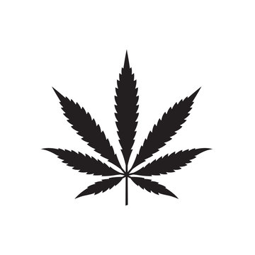 black silhouette of marijuana or cannabis leaf isolated on white background