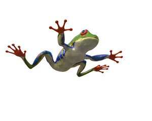 Fototapeta premium amazon frog in a white background