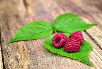 Healthy food,agriculture,harvest and fruit concept: three fresh raspberries on leaves and an old wooden background.