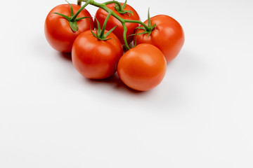 tomatoes on a white background