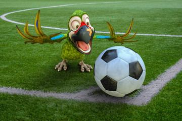 parrot cartoon football corner © DM7
