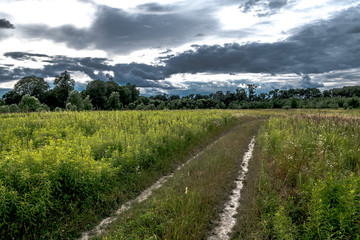 Weg durch malerische Landstraße in Nationalpark in Österreich