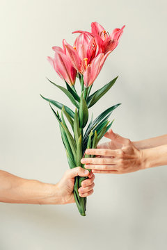 Man's Hand Giving Bouquet Of Lilies Flowers To Woma's Hand