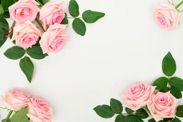 Crédence de cuisine en verre imprimé Fleurs fresh rose flowers