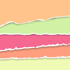 Vector background with collection of pastel colors torn paper. Realistic paper stripes with ripped edges.