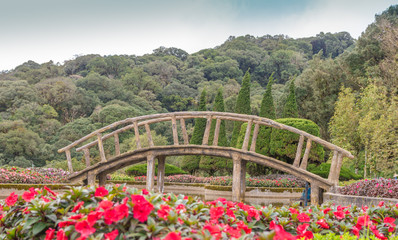 Wood Bridge in Thailand