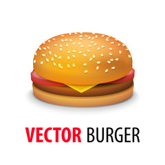 Vector Realistic Cheeseburger