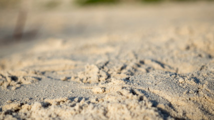Fototapeta na wymiar Sand beach close up