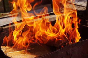 Fototapeta premium fire brazier on nature bones fry meat vegetables cook