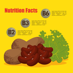 healthy food with nutritional facts vector illustration design
