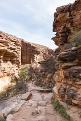 Tonto Trail at Grand Canyon National Park, Arizona, USA