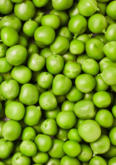 Fresh green pea