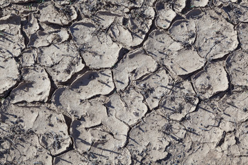 dry loam in the desert