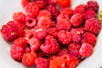 Fresh raspberries in bowl, closeup