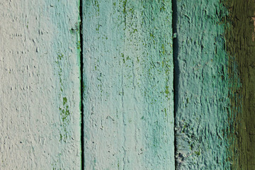 wooden background green