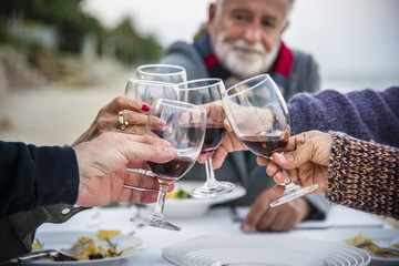 Seniors toasting with red wine at the beach - obrazy, fototapety, plakaty