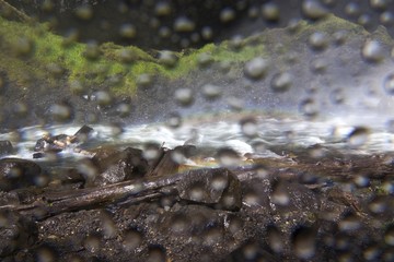 Water Drops collecting on photography camera lens creating surreal blurred liquid background effect