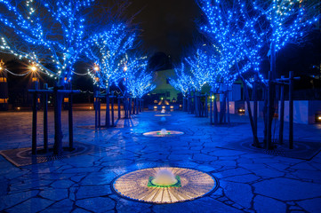 博多のイルミネーション