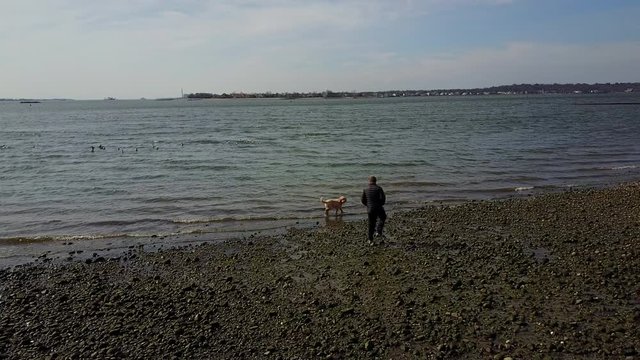 Man watches on as dog wades into water along coastline