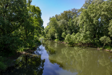 Fototapeta na wymiar The River Luzha. Maloyaroslavetsky district, Kaluzhskaya region, Russia 