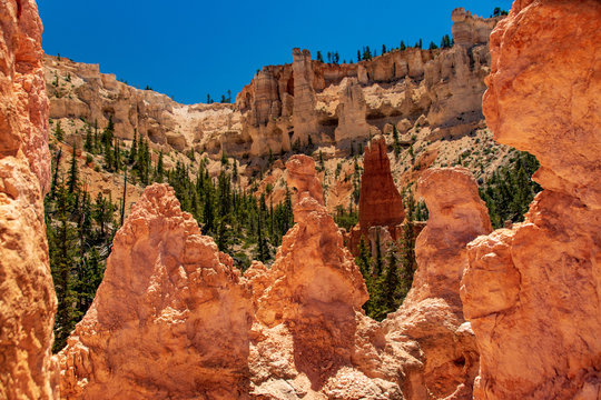 Multi Color Hoodoos in Bryce Canyon National Park