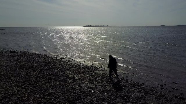 A man plays fetch with his dog amidst a calm seascape on the coastline
