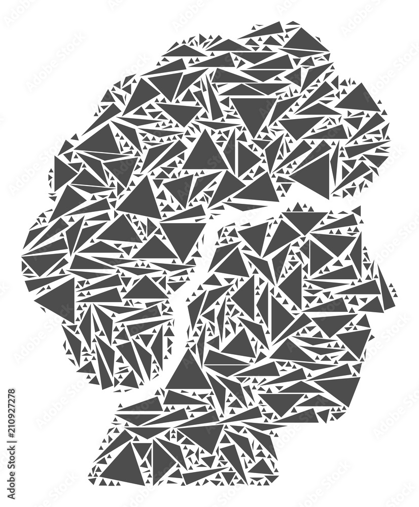 Poster woman profile mosaic of triangle elements in various sizes and shapes. vector polygons are organized