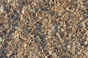 Background of colored wood shavings