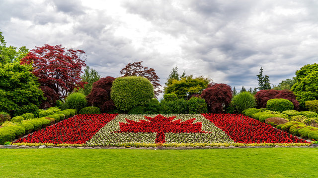 Canadian flagg made out of flowers. Dramatic cloudy ski in the background.