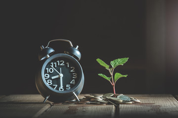 Coins with time and plant growing through it. Concept of savings, interest, fixed deposits,...