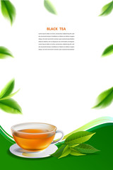 Black tea and green tea cup brochure, banner,  leaves vector.