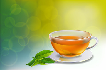 Black tea and green tea cup brochure, banner,  leaves vector.