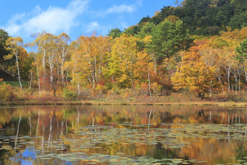 志賀高原を彩る錦秋の喝采