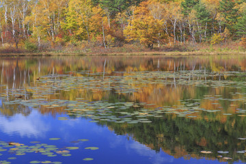 志賀高原を彩る錦秋の喝采