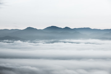 morze chmur nad lasem, czarno-białe odcienie w minimalistycznej fotografii - 210936885