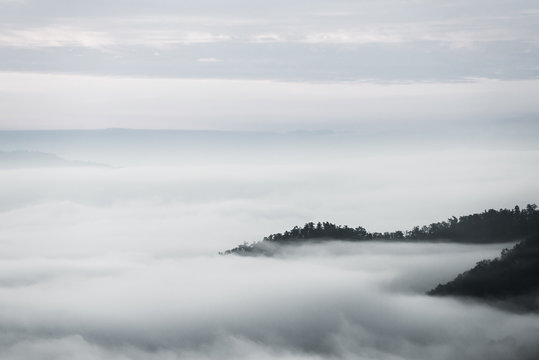 sea of clouds over the forest, Black and white tones in minimalist photography