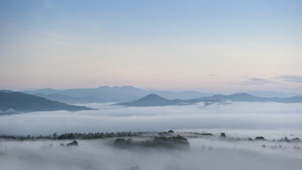 Fog above the forest in minimalist photography