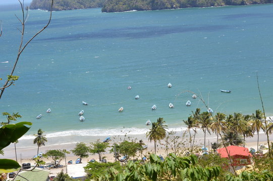 Fishing boats