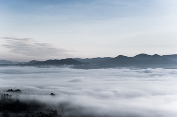 sea of clouds over the forest, Black and white tones in minimalist photography - 210937499